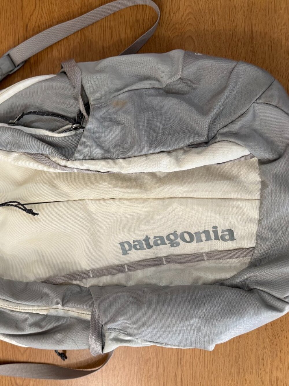 Patagonia Backpack